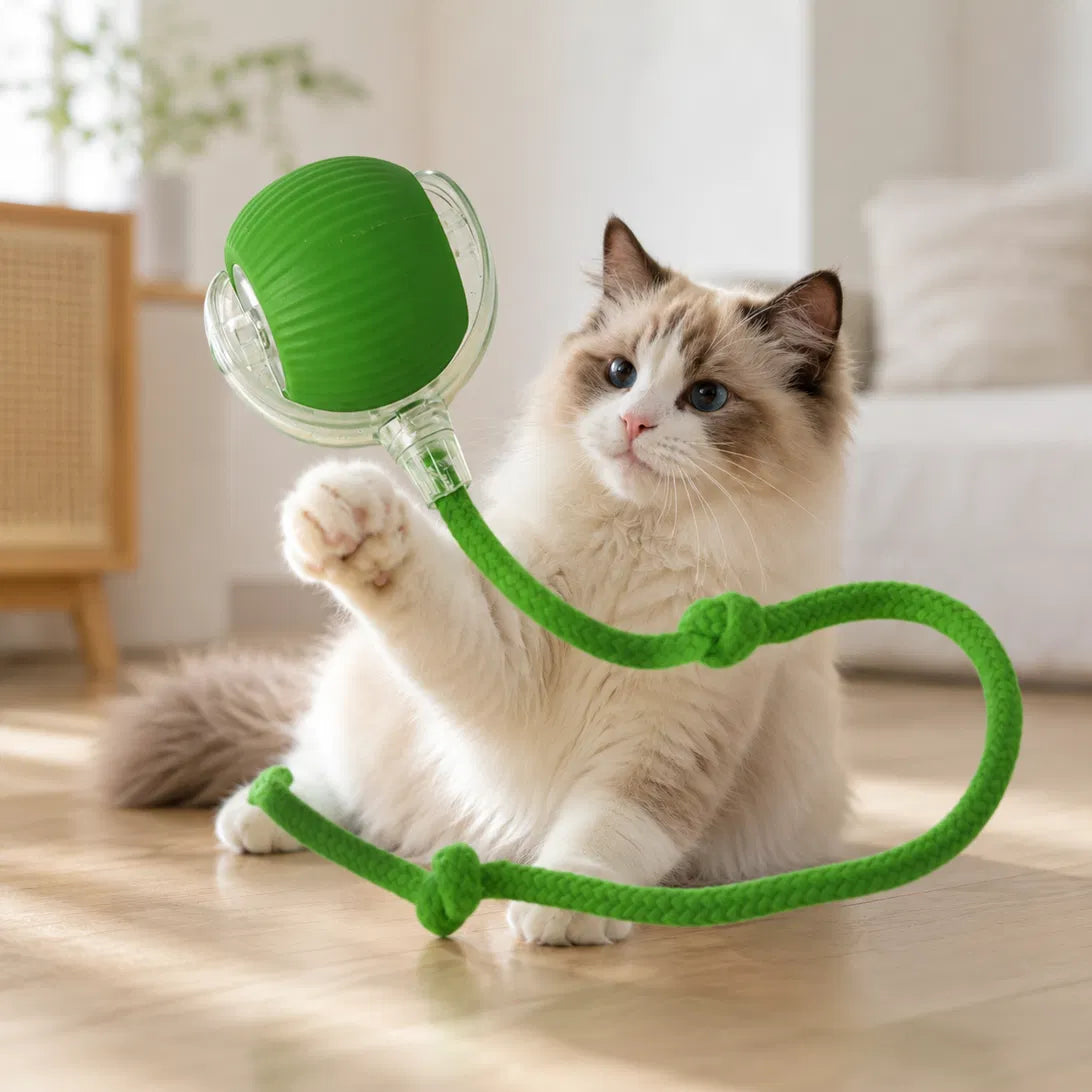 Smart Rolling Ball - Interactive Electric Cat Toy